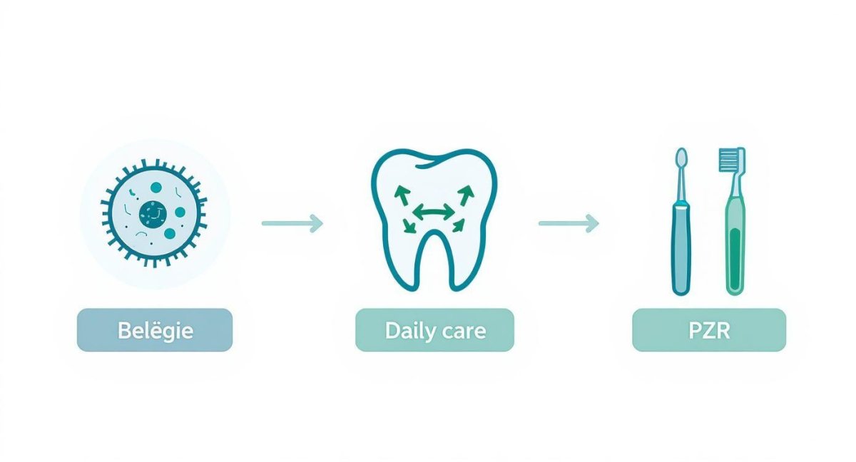 Informationsbild zum Thema Zahngesundheit - Zahnarztpraxis Dr. Christina Dickel