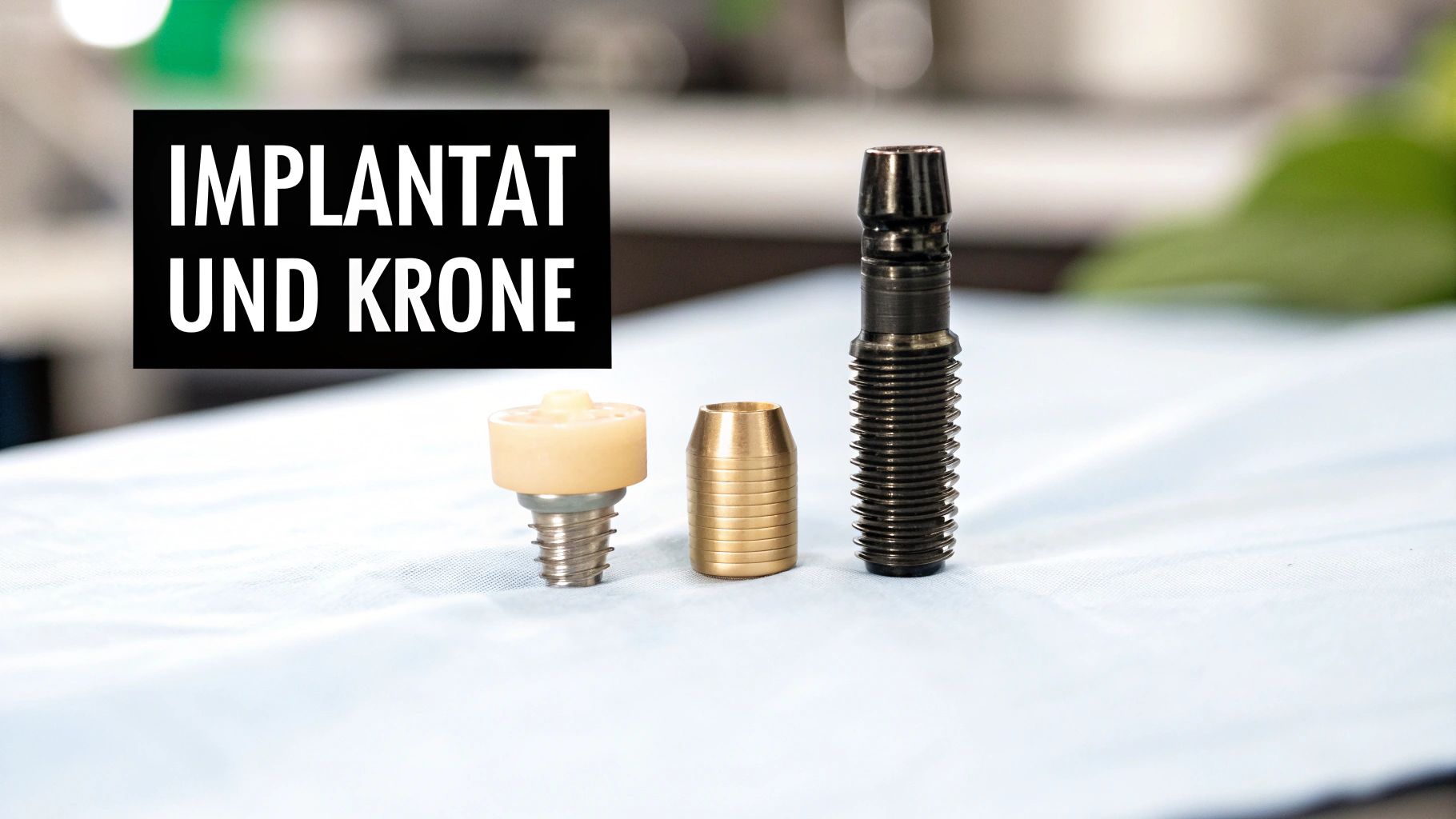 Informationsbild zum Thema Zahngesundheit - Zahnarztpraxis Dr. Christina Dickel