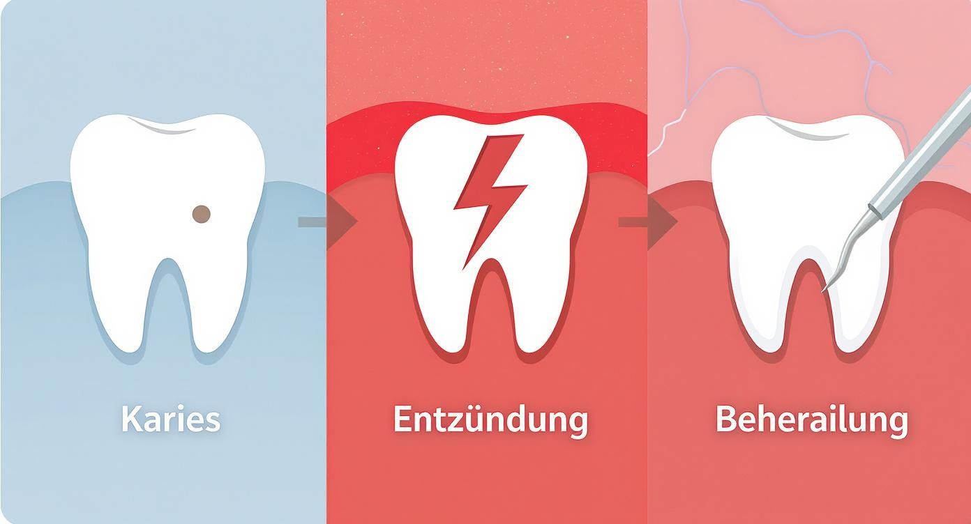 Informationsbild zum Thema Zahngesundheit - Zahnarztpraxis Dr. Christina Dickel